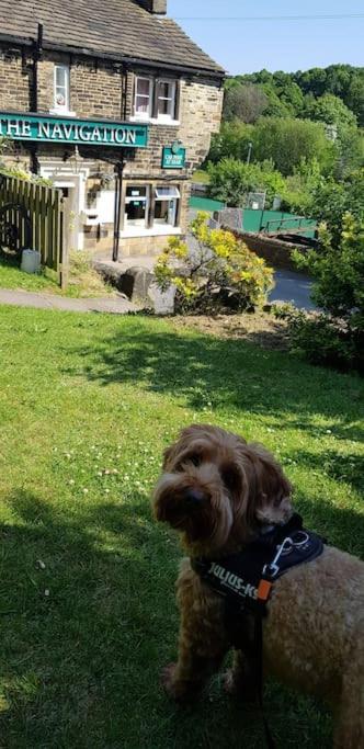 Bowie'S Abode Sowerby Bridge Exteriör bild